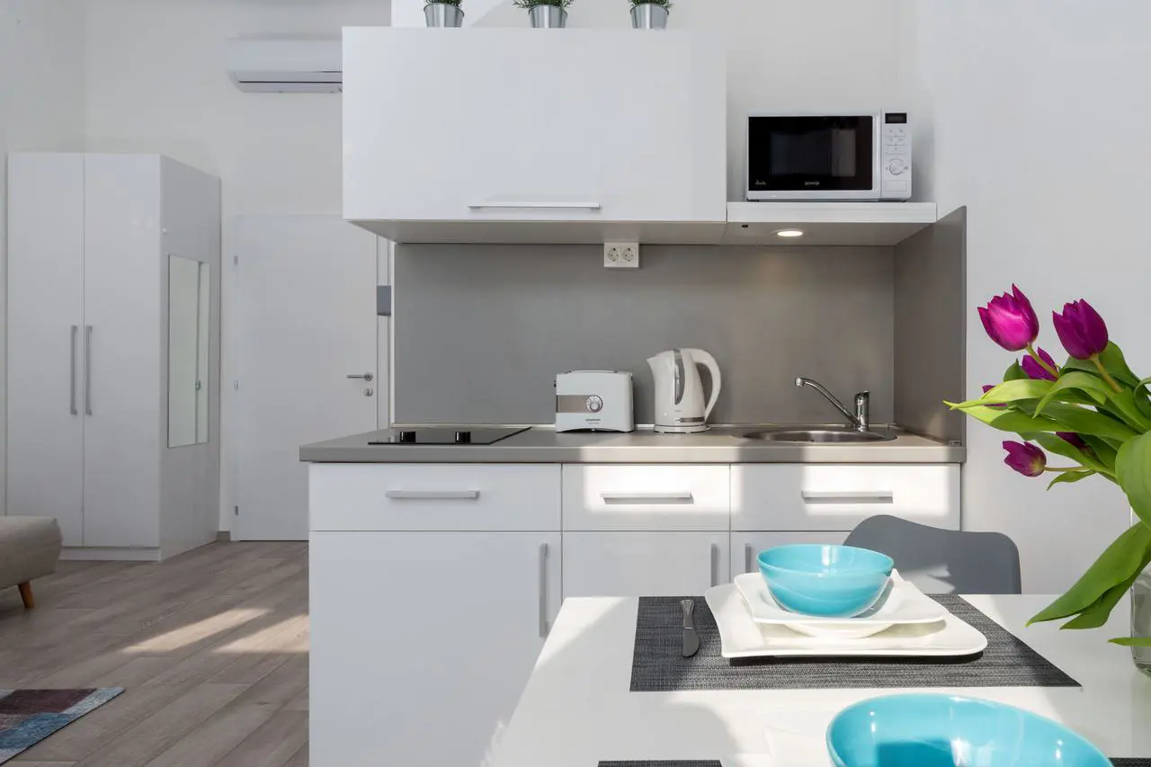 Luxury Apartment in Zagreb centre